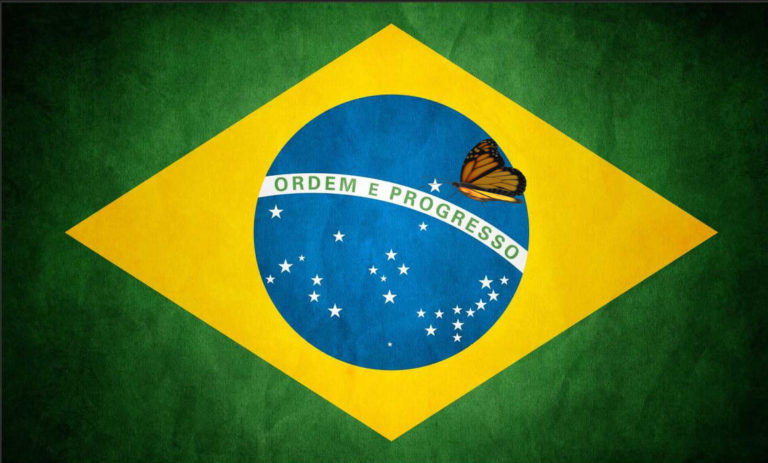 bandeira e mariposa