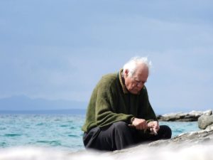 O velho e o mar